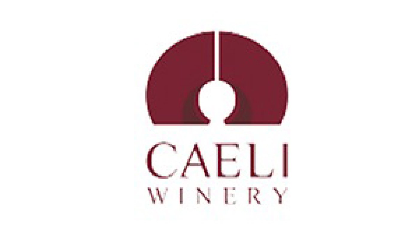 CAELİ Tesis Kurulumu