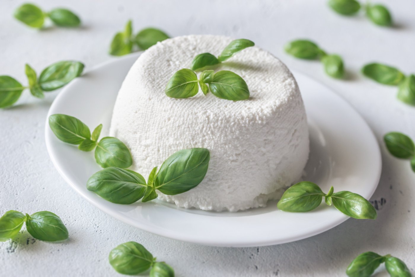 Ricotta Üretiminde Homojenizatör ve Diğer Temel Makineler