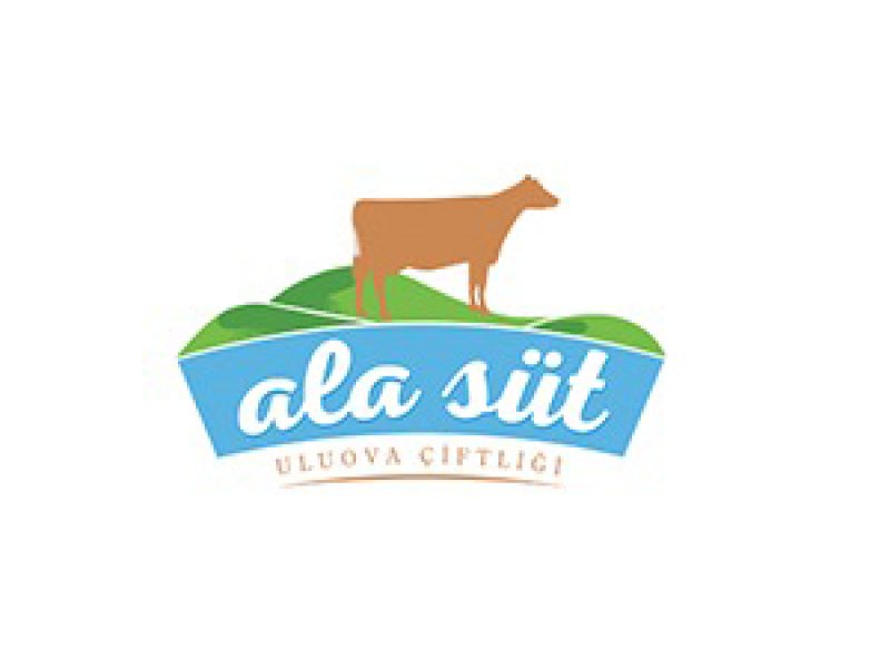 Ala Süt Tesis Kurulumu