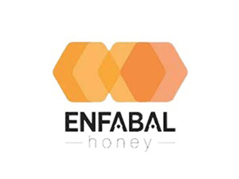 ENFABALTesis Kurulumu