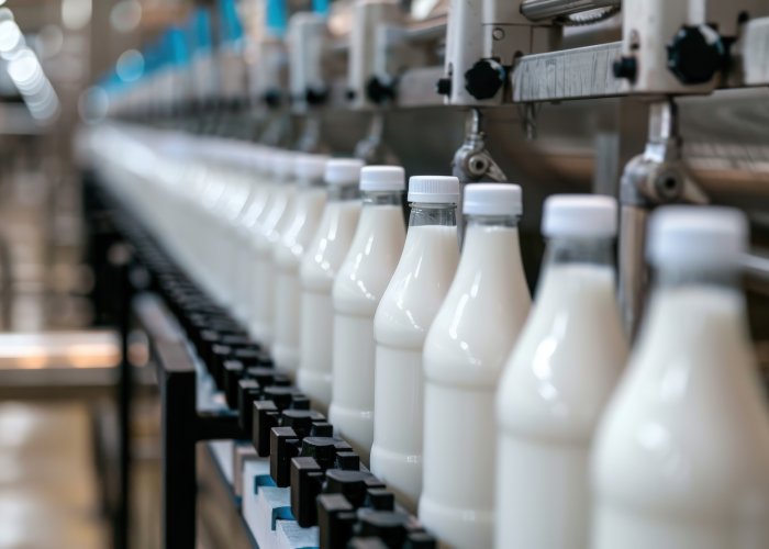 SÜT ÜRÜNLERİ FABRİKASI KURULUMU