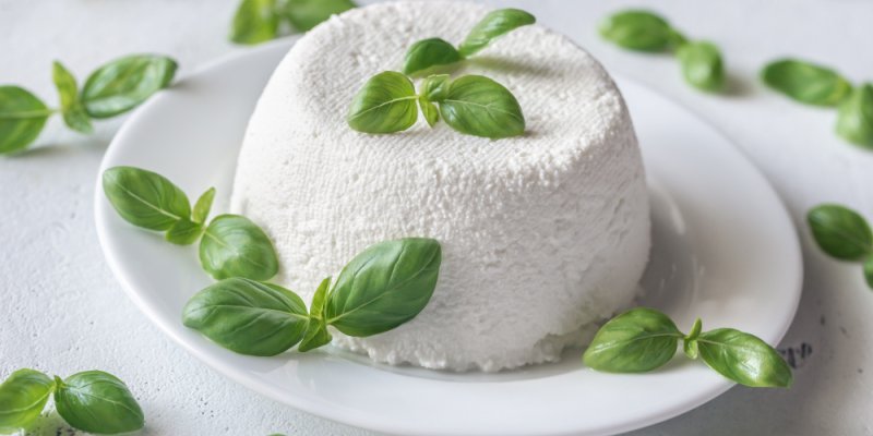 Ricotta Üretiminde Homojenizatör ve Diğer Temel Makineler